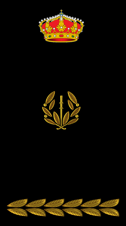 Escudo Inspector Jefe